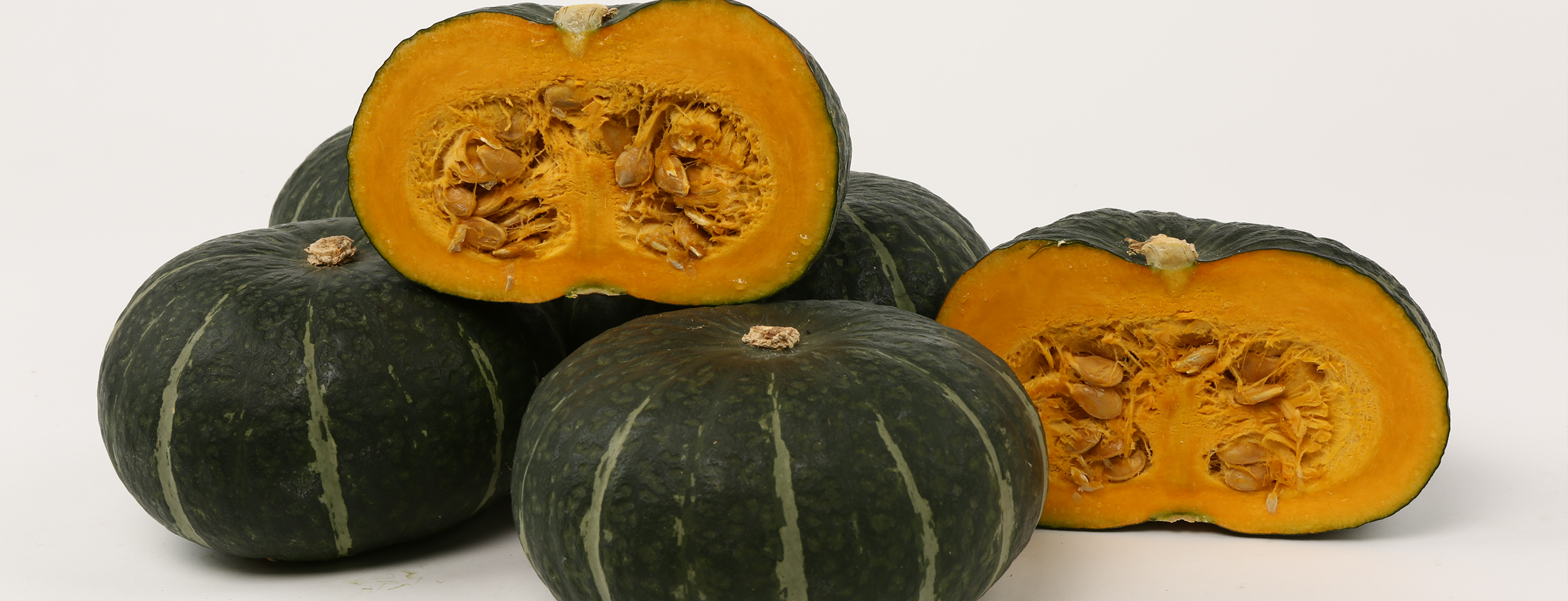 빌모린-미카도 코리아, 채소종자 전문회사