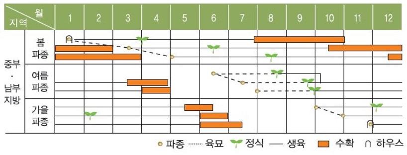 쵸우에쓰 cc