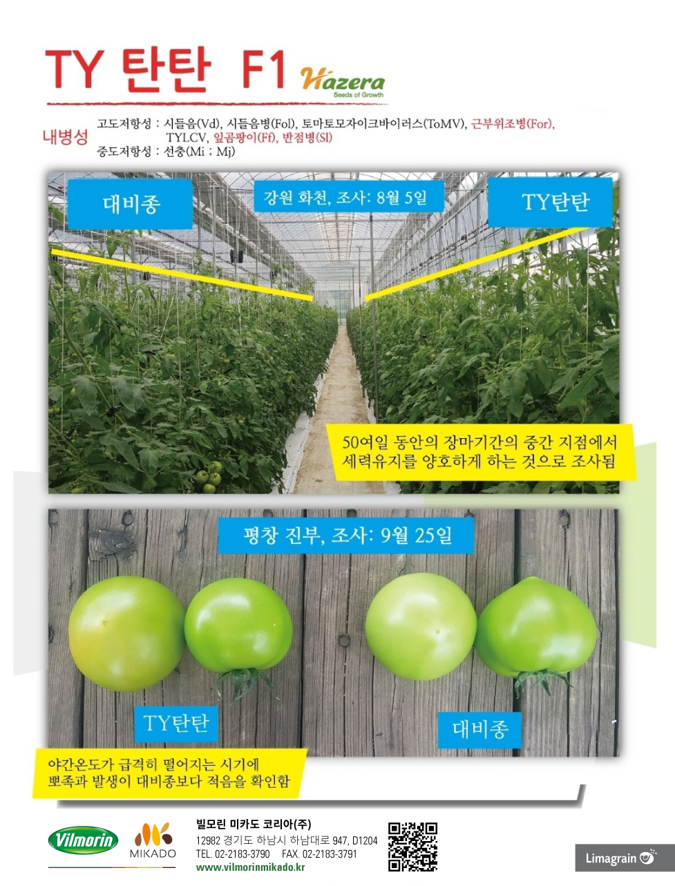 TY탄탄 소개2