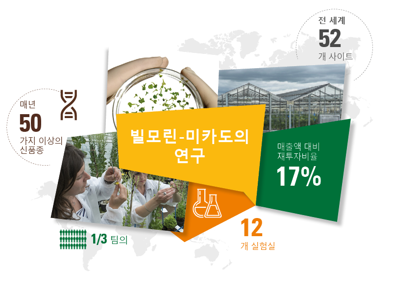 전세계적 네트워크