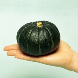 Kabocha