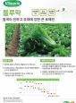 블루락 포스터